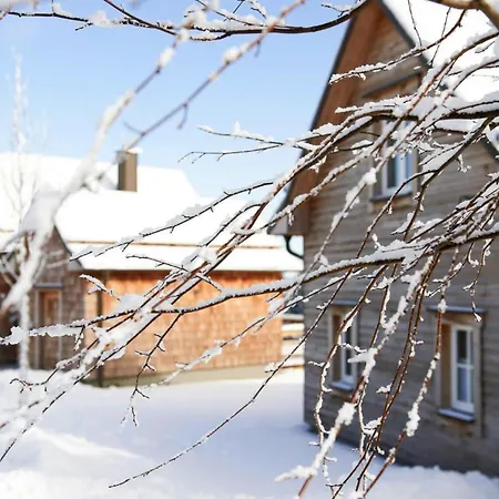 Holiday Homes,